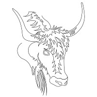 ox head 001